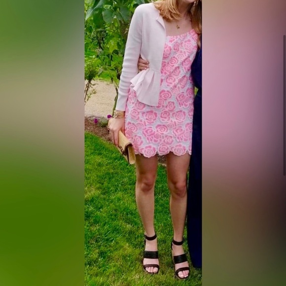 Lilly Pulitzer Beth Rose Lace Slip Dress - Picture 3 of 14